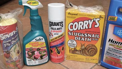 Chemical and Pesticides