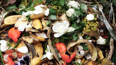 Food scraps