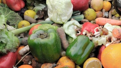 Organic Waste