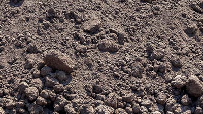 Soil