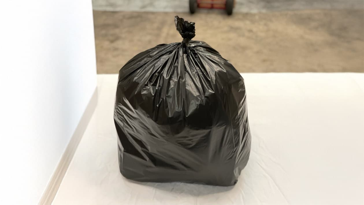 How many bin bags fit in a skip